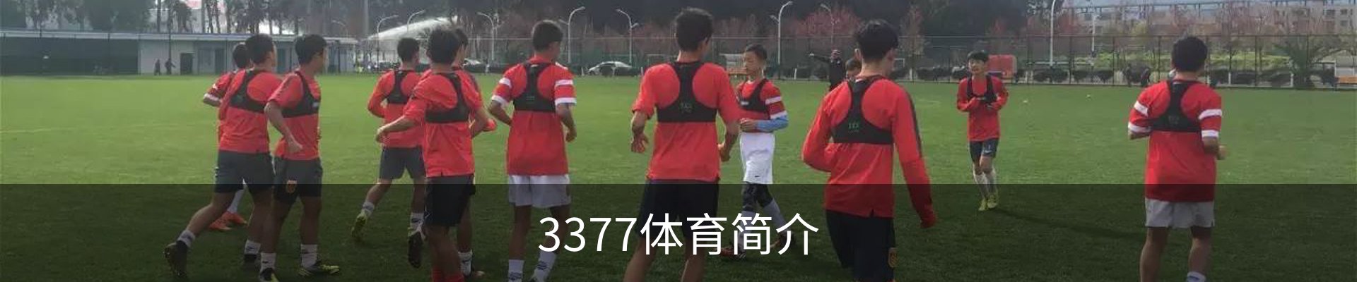 3377体育简介